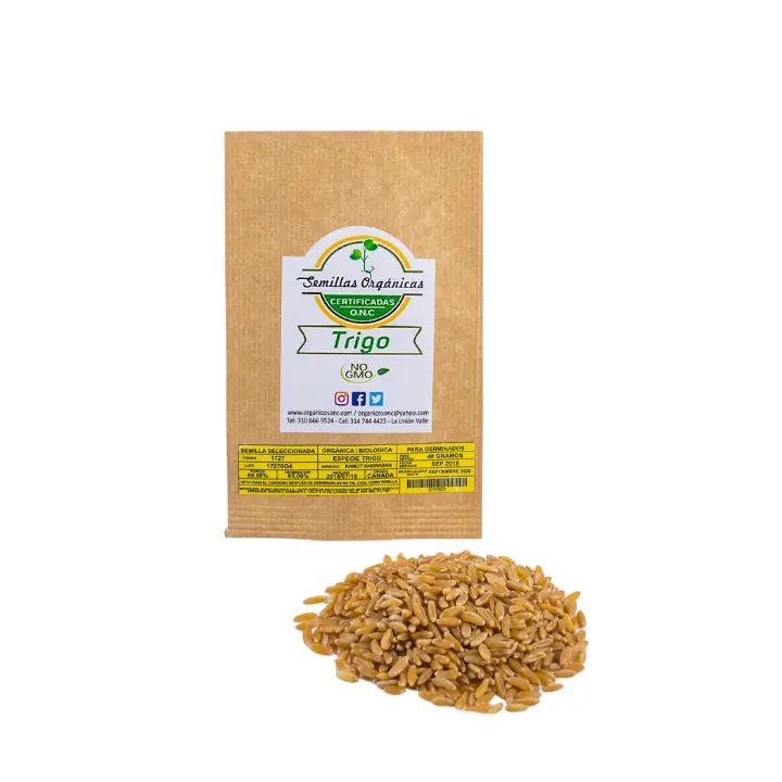 Organic Wheatgrass Seeds – Draught Resistant, Full Sun/Shade, Spring Interest
