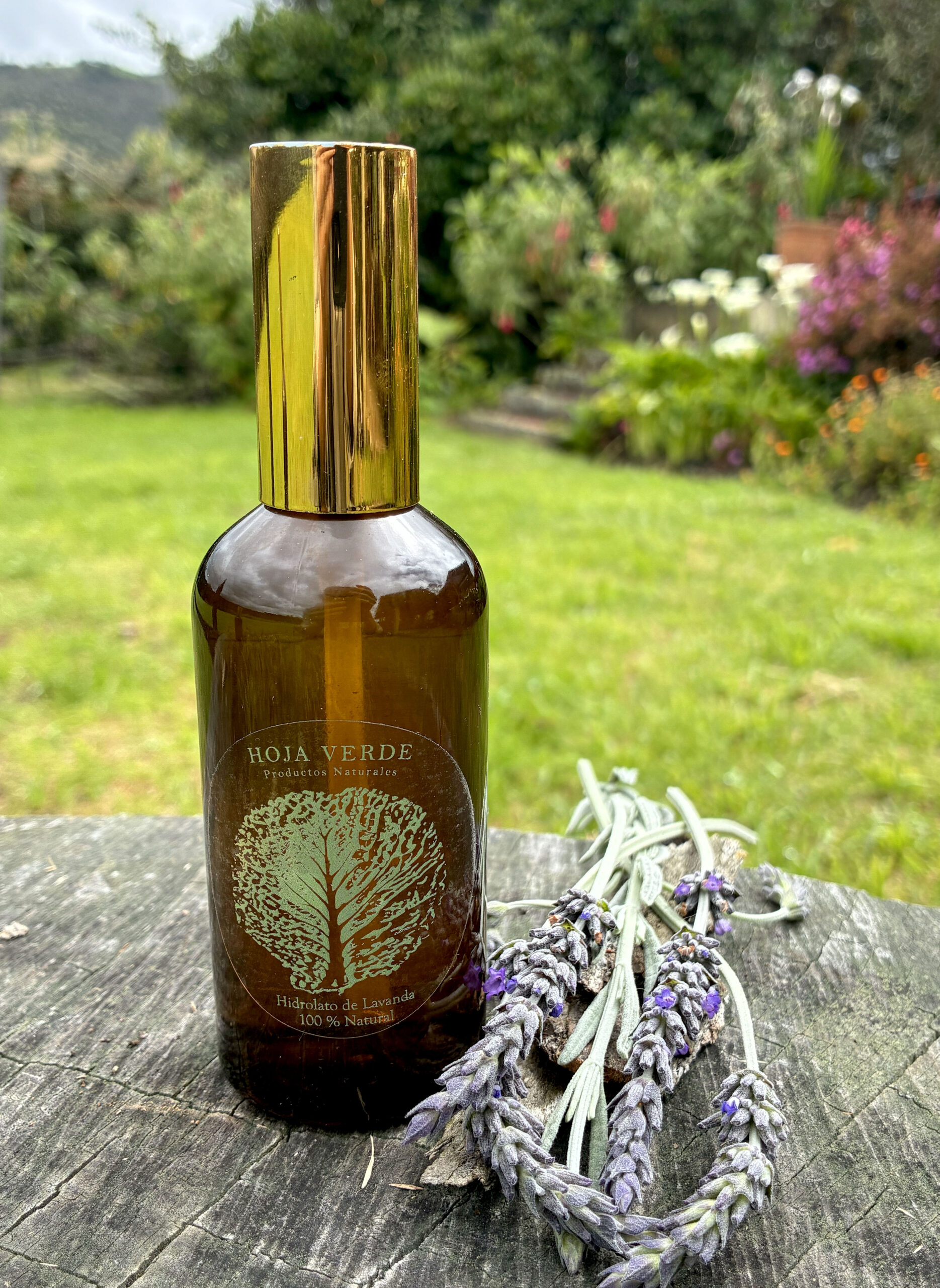 Hidrolato de Lavanda